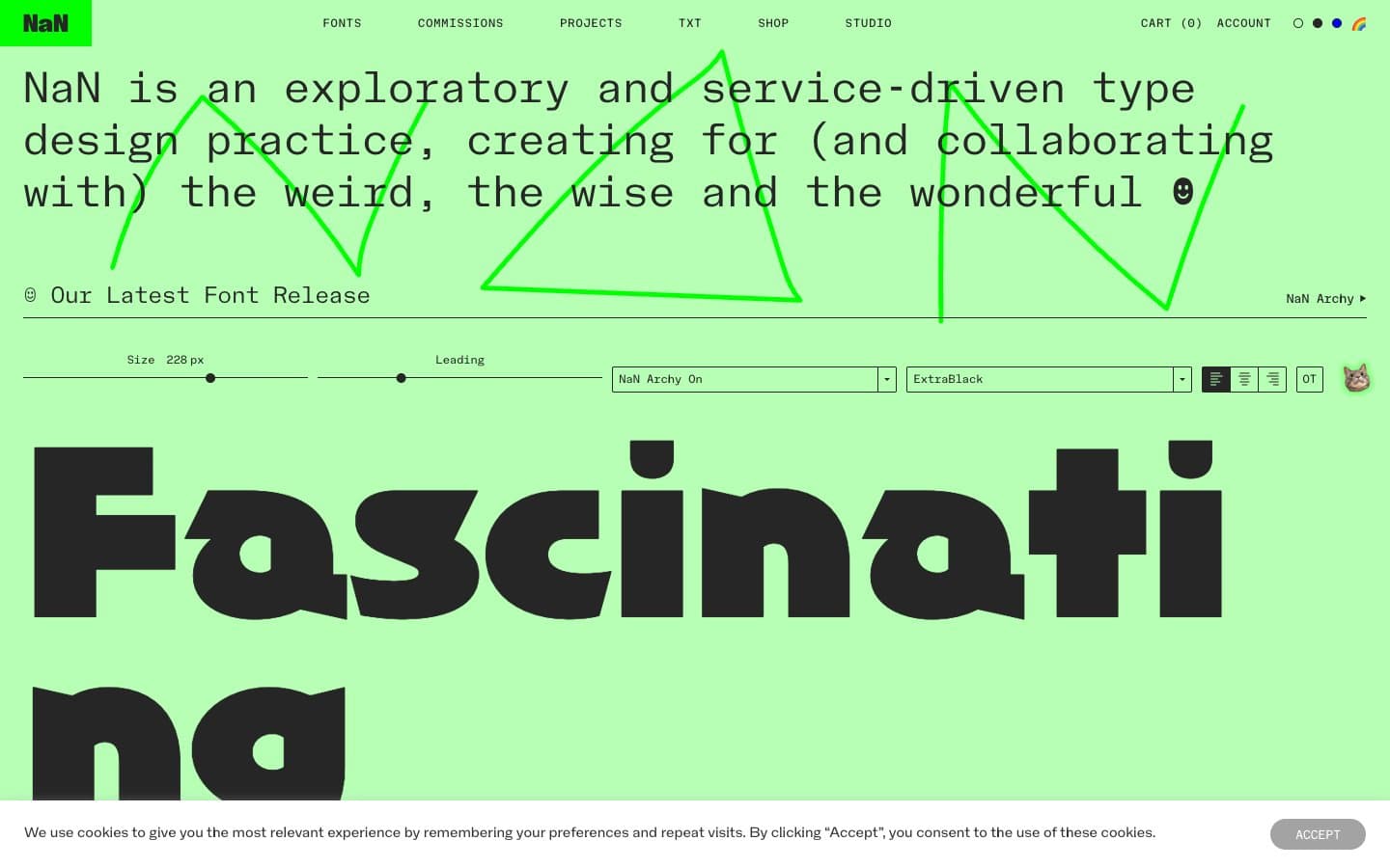 NaN website screenshot